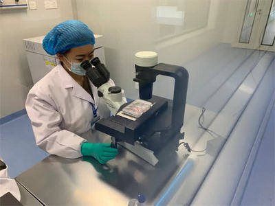 蓄能“創新力” 細胞技術研發與應用的突破與前景