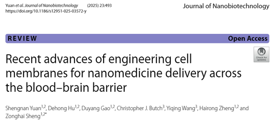 細胞膜工程仿生納米技術 突破血腦屏障的腦病治療新紀元