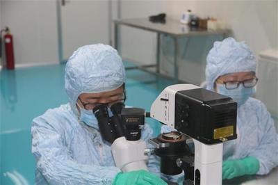 解碼生命密鑰 廊坊康寶匯泰以“種子細胞”技術領航醫學前沿