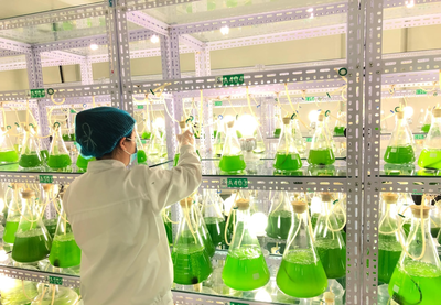 科技賦能，振興鄉村 內蒙古企業捐贈千萬元微藻修復液助力農牧業增產增收